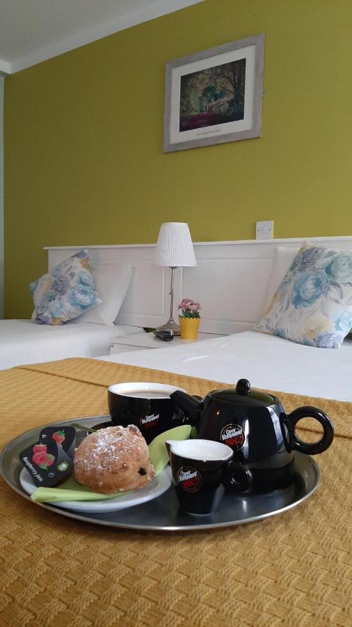 Hotel The 'Rafter'S Gastropub Kilkenny Exteriér fotografie
